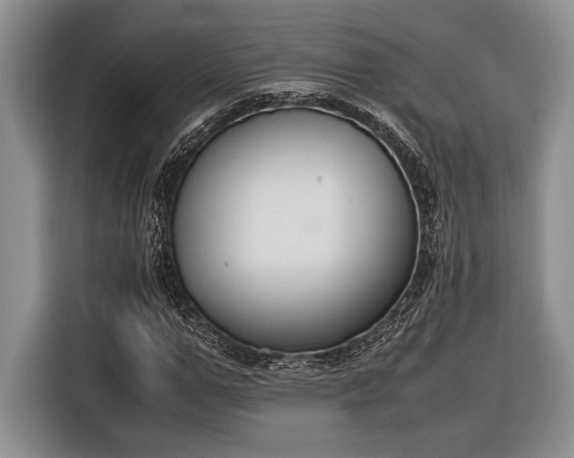 X0000116330967200912091036