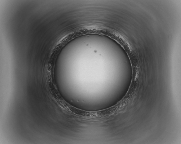 X0000116330968200912091036