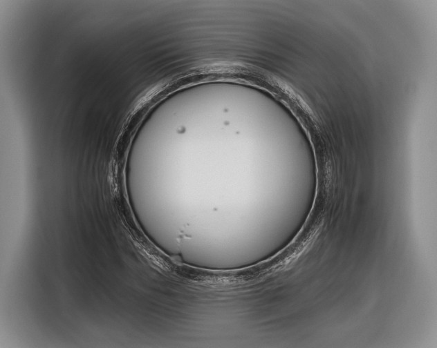 X0000116330970200912091036