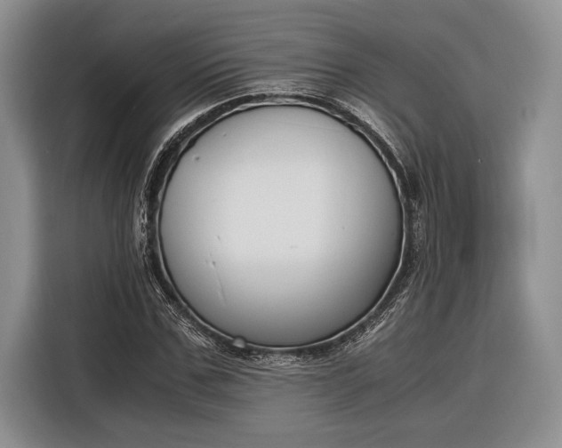 X0000116330971200912091036