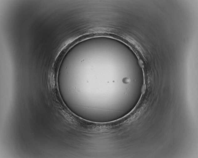X0000116330973200912091036