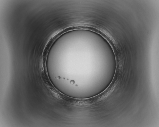 X0000116330974200912091036