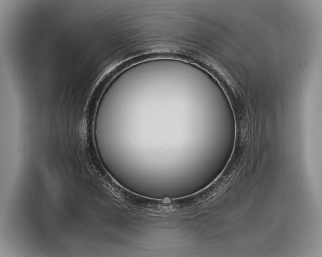 X0000116330975200912091036