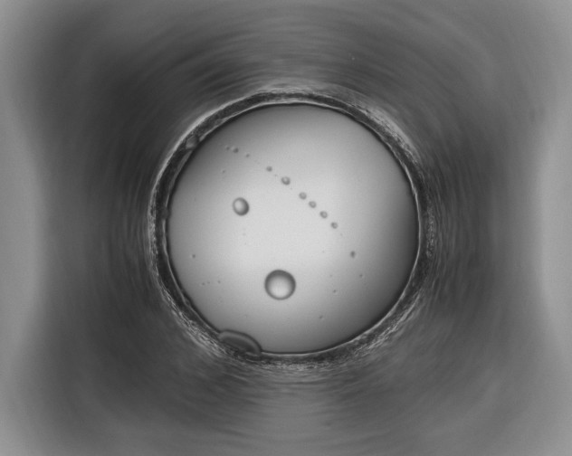 X0000116330976200912091036