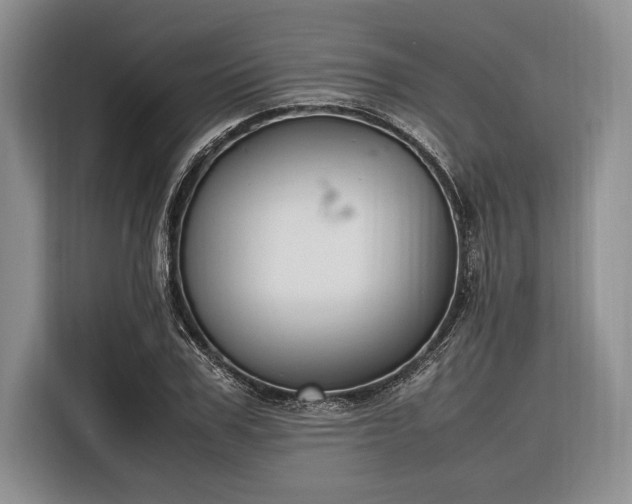 X0000116330979200912091036