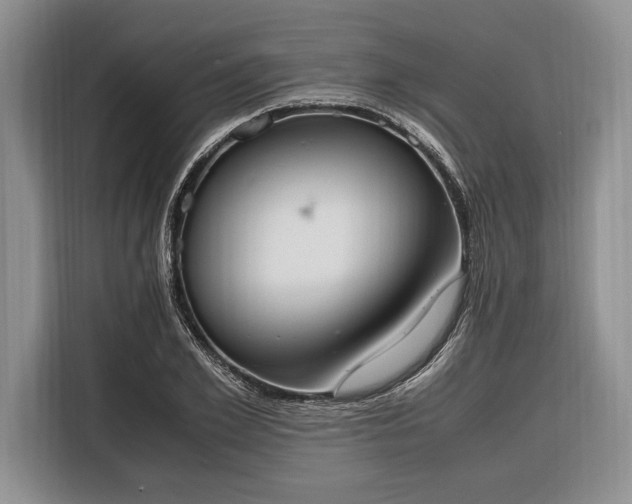 X0000116330981200912091036