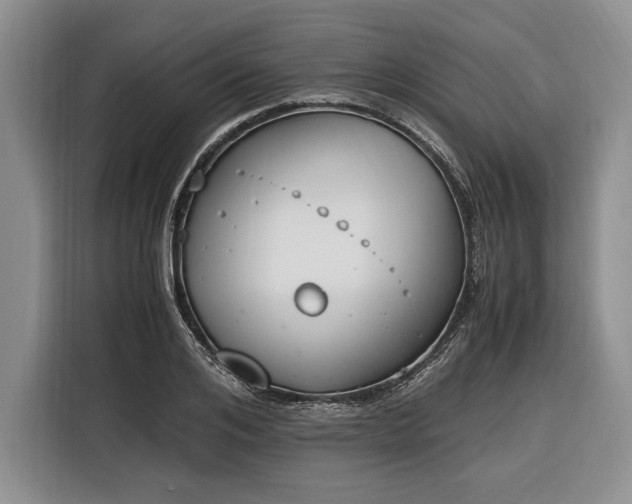 X0000116330984200912091036