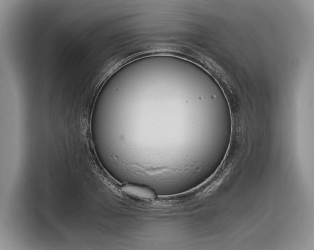 X0000116330985200912091036