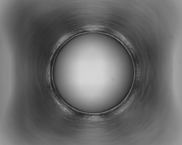 X0000116330986200912091036