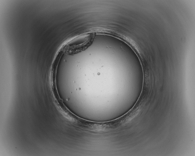 X0000116330987200912091036