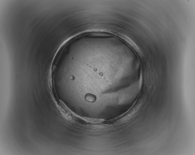 X0000116330988200912091036