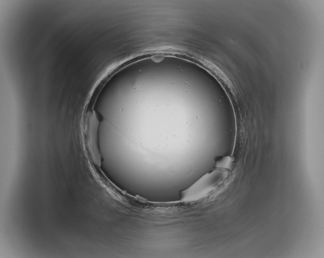 X0000116330989200912091036