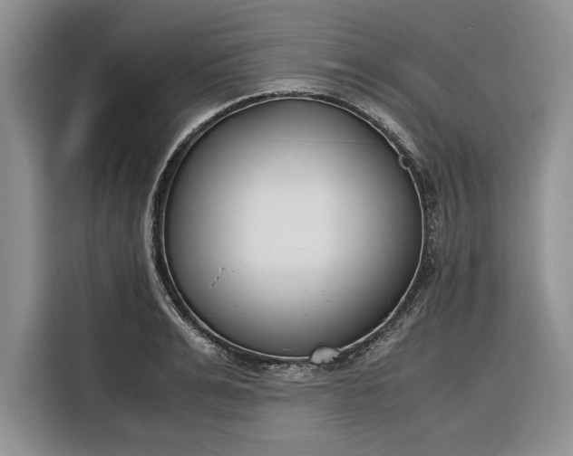 X0000116330991200912091036