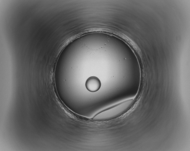 X0000116330993200912091035