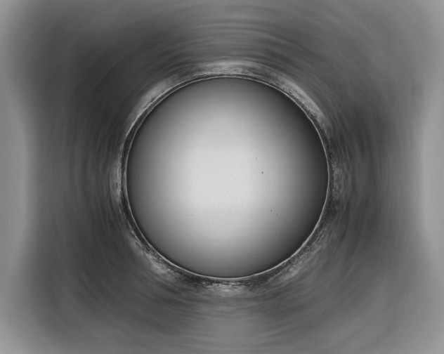 X0000116330994200912091035