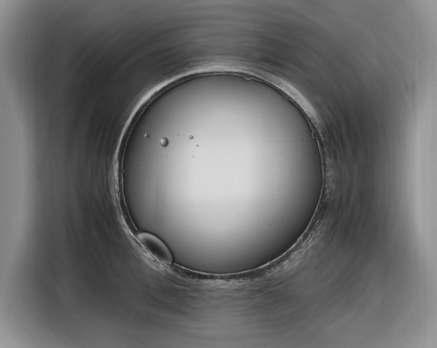 X0000116330996200912091035