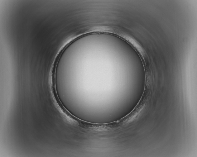 X0000116330999200912091035