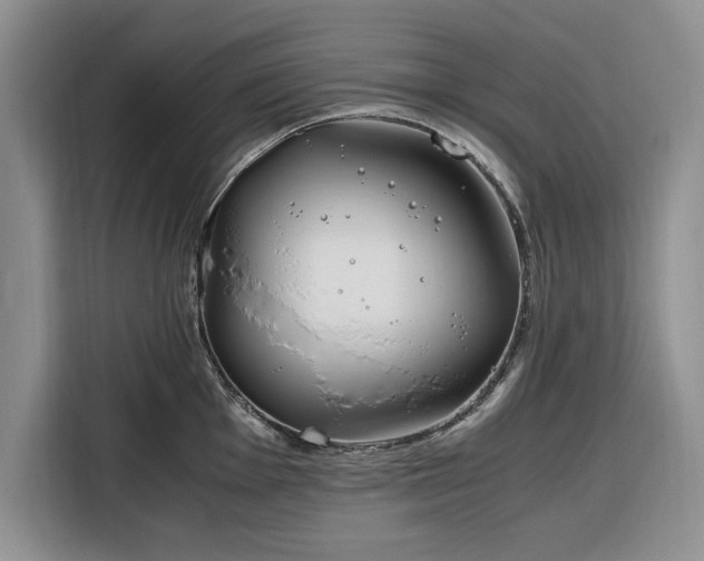 X0000116331001200912091035