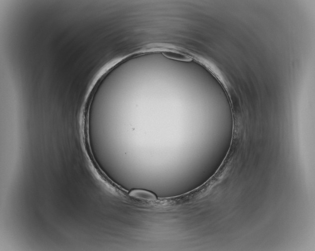 X0000116331003200912091035