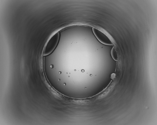 X0000116331004200912091035