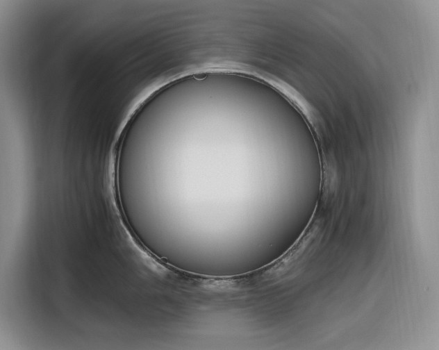 X0000116331006200912091035