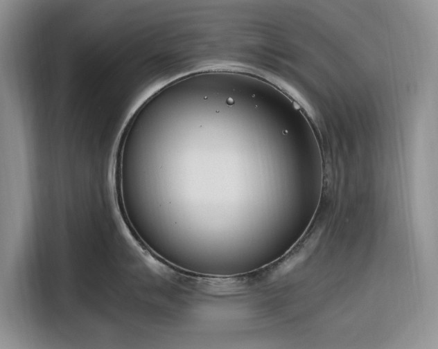 X0000116331007200912091035