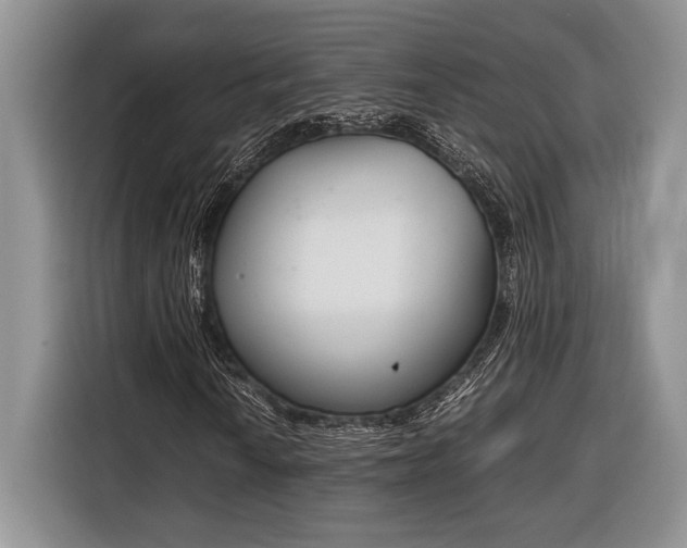 X0000116331010200912091035