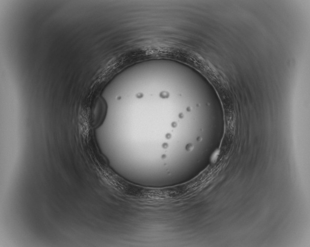 X0000116331012200912091035