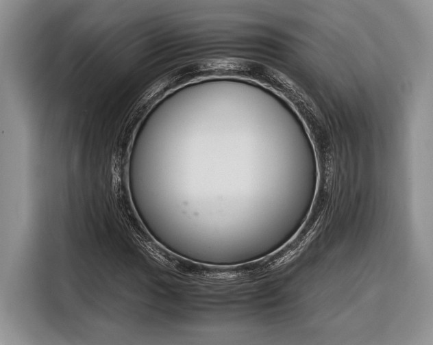 X0000116331017200912091035