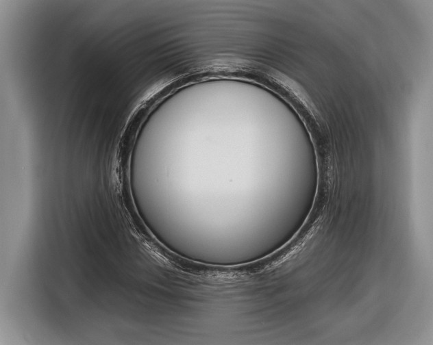 X0000116331018200912091035
