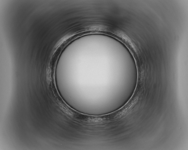 X0000116331019200912091035