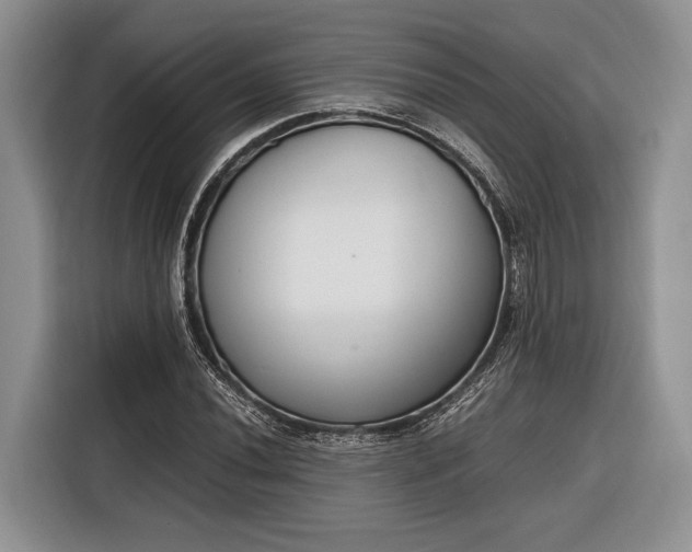 X0000116331020200912091035