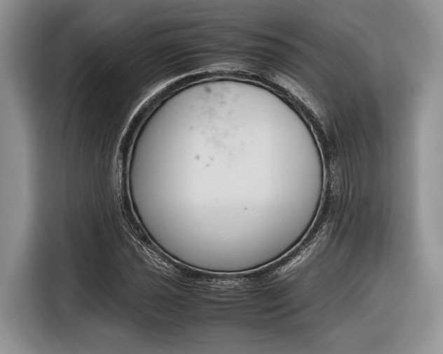 X0000116331021200912091035