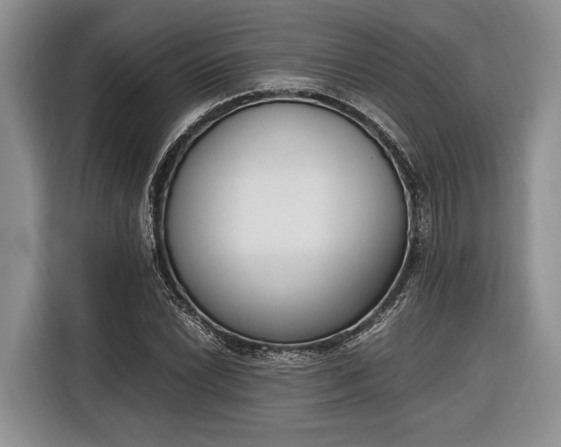 X0000116331022200912091035