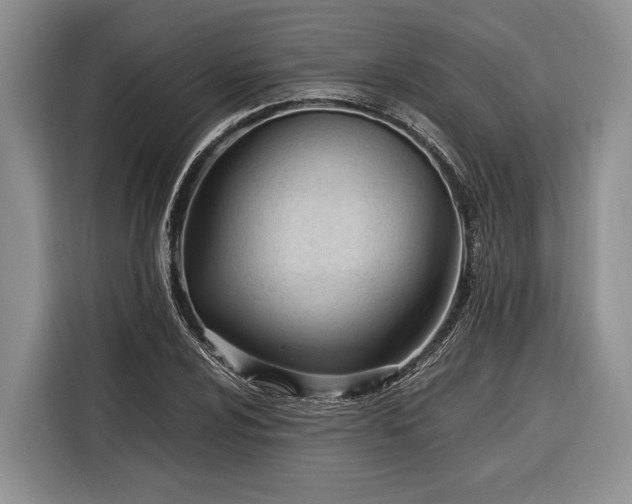 X0000116331024200912091035