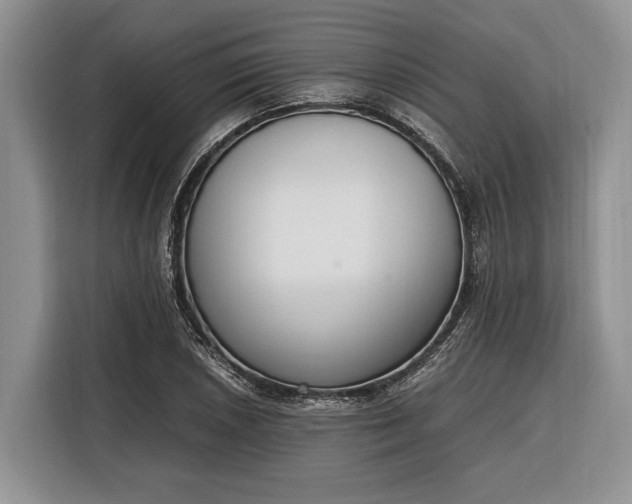 X0000116331026200912091035
