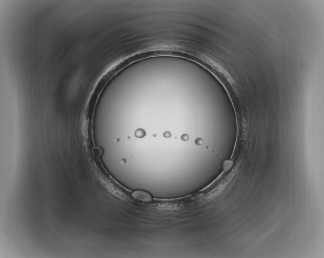 X0000116331029200912091035
