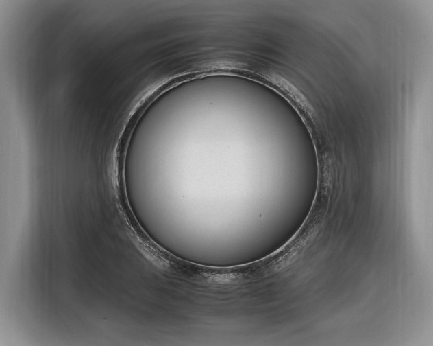 X0000116331031200912091035