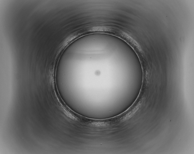 X0000116331033200912091035
