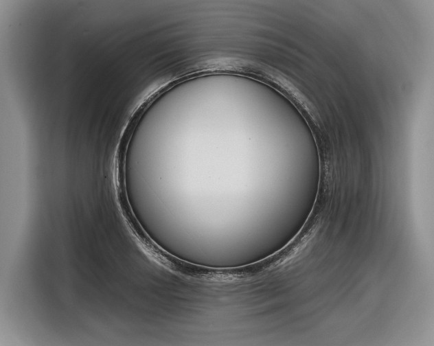 X0000116331034200912091035