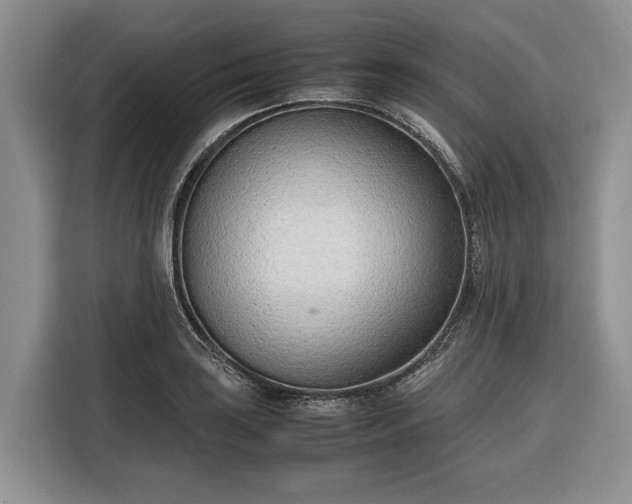 X0000116331035200912091035