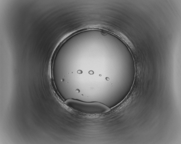 X0000116331036200912091035