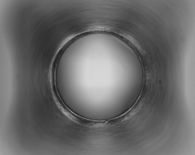 X0000116331038200912091035