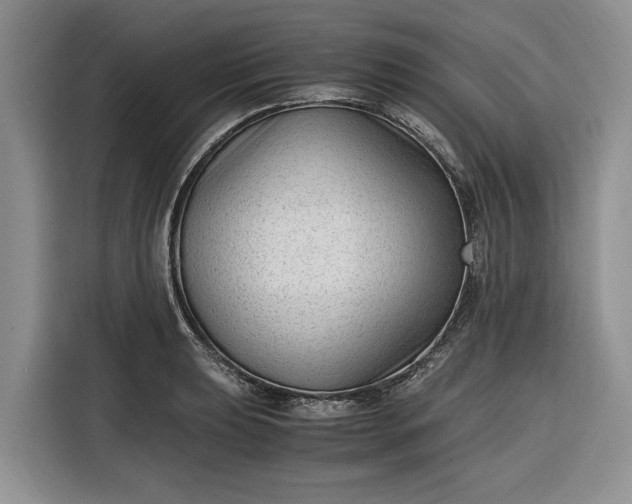 X0000116331039200912091035