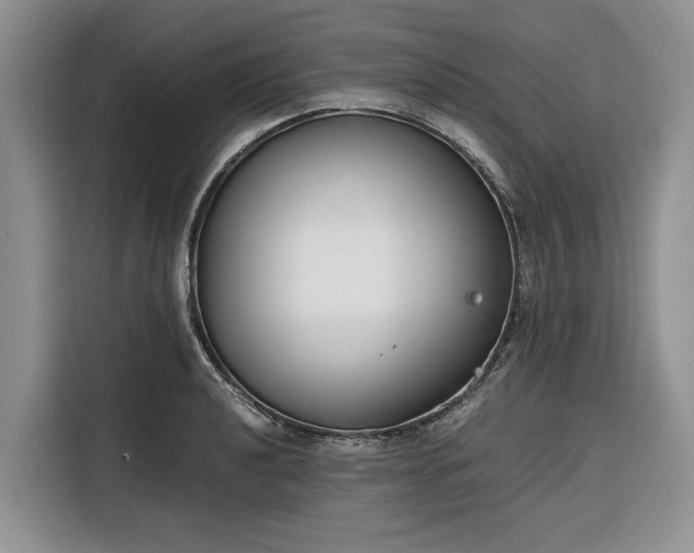X0000116331040200912091035