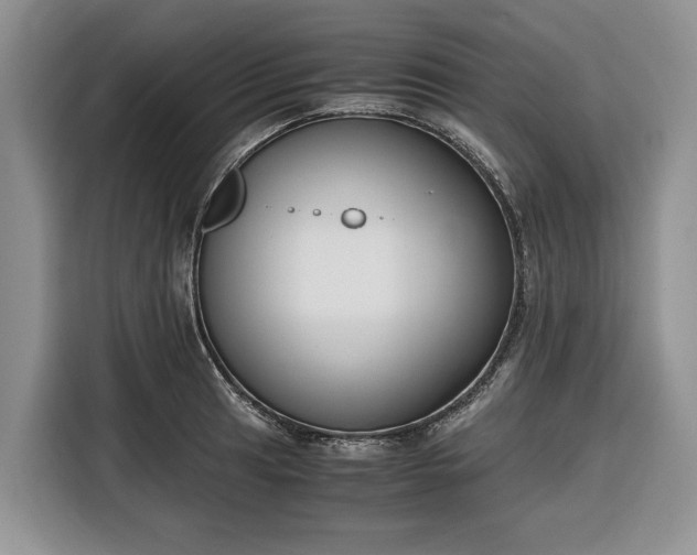 X0000116331041200912091035