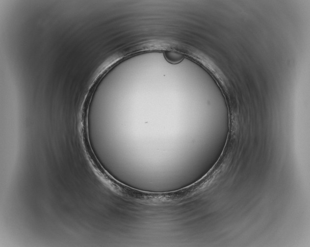 X0000116331042200912091035