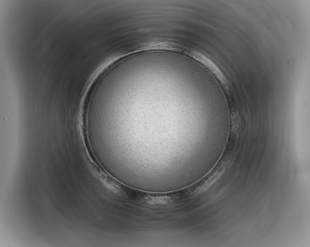 X0000116331043200912091035