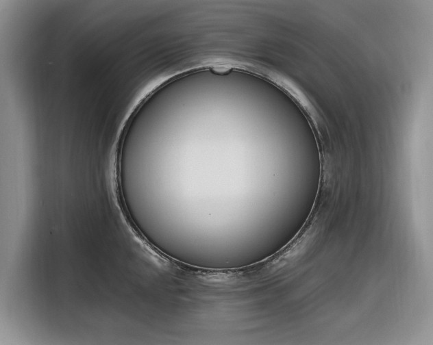 X0000116331048200912091035