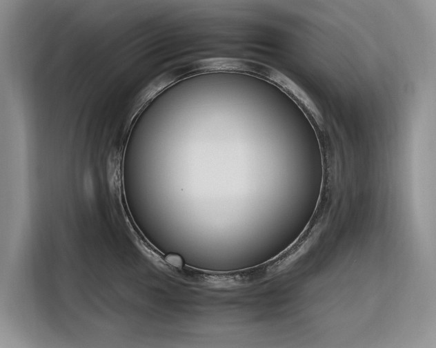 X0000116331049200912091035